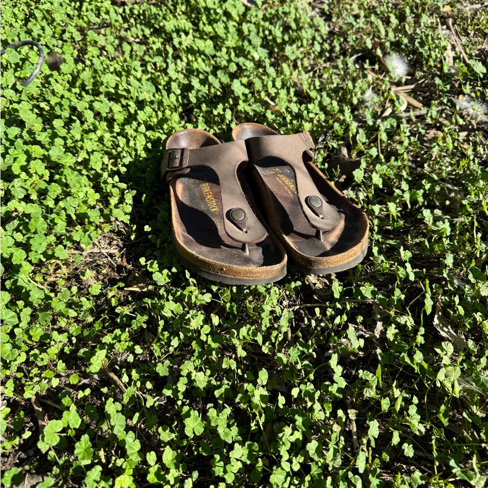 Birkenstock Gizeh Sandal Mocha